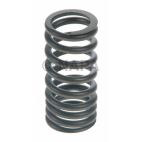 Engine Valve Spring