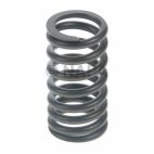 Engine Valve Spring