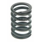 Engine Valve Spring