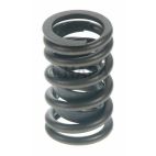 Engine Valve Spring