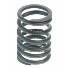Engine Valve Spring
