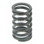 Engine Valve Spring