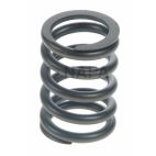 Engine Valve Spring