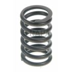 Engine Valve Spring