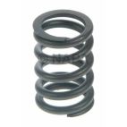 Engine Valve Spring