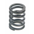 Engine Valve Spring
