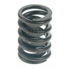Engine Valve Spring