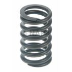Engine Valve Spring