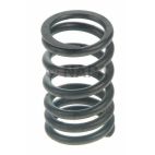 Engine Valve Spring