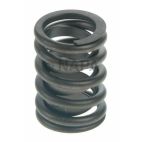 Engine Valve Spring