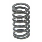 Engine Valve Spring