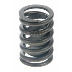Engine Valve Spring