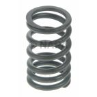 Engine Valve Spring