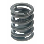 Engine Valve Spring