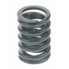 Engine Valve Spring
