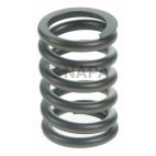 Engine Valve Spring
