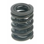 Engine Valve Spring