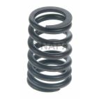 Engine Valve Spring