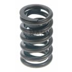 Engine Valve Spring