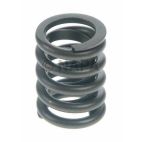 Engine Valve Spring
