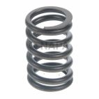 Engine Valve Spring