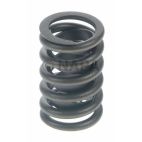 Engine Valve Spring