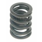 Engine Valve Spring