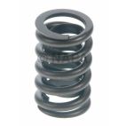 Engine Valve Spring