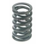 Engine Valve Spring