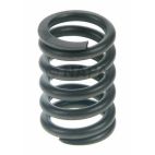 Engine Valve Spring