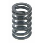 Engine Valve Spring