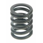 Engine Valve Spring