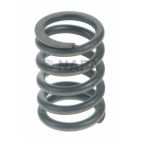 Engine Valve Spring