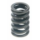 Engine Valve Spring