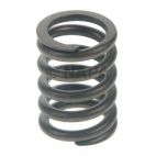 Engine Valve Spring
