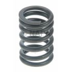 Engine Valve Spring