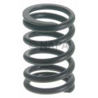 Engine Valve Spring