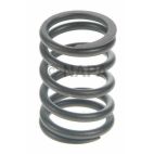 Engine Valve Spring