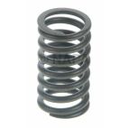 Engine Valve Spring