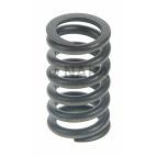 Engine Valve Spring