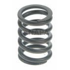 Engine Valve Spring