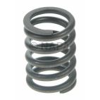 Engine Valve Spring