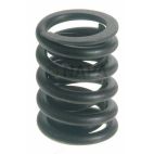 Engine Valve Spring