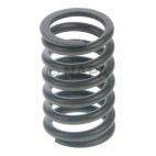 Engine Valve Spring