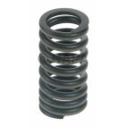 Engine Valve Spring