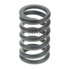 Engine Valve Spring