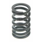 Engine Valve Spring