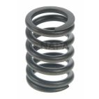 Engine Valve Spring