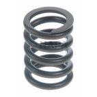 Engine Valve Spring