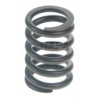 Engine Valve Spring